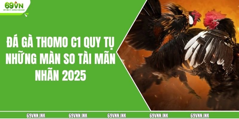 Đá Gà Thomo C1 Quy Tụ Những Màn So Tài Mãn Nhãn 2025